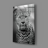 Leopard Glass Wall Art.