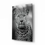 Leopard Glass Wall Art.