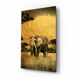 Elephant Glass Wall Art.