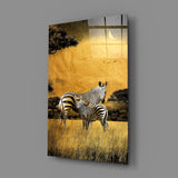 Zebras Glass Wall Art.