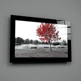 Red Tree Glass Wall Art.