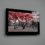 Red Trees Glass Wall Art.