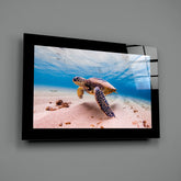 Turtle Glass Wall Art.