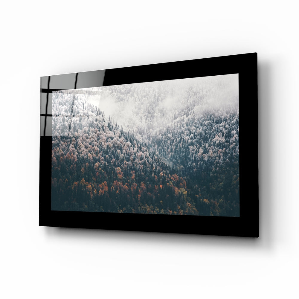 Forest Glass Wall Art.