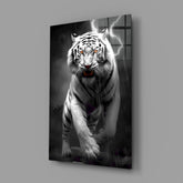 Tiger's Wrath Glass Wall Art || Designer Collection.