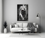 Tiger's Wrath Glass Wall Art || Designer Collection.