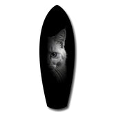 White Cat Half Face Black Background Glass Wall Art.