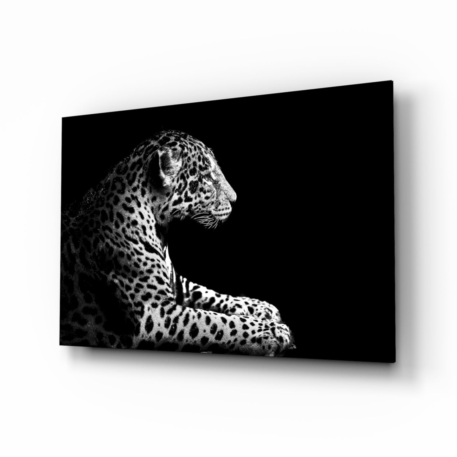 Leopard Glass Wall Art.