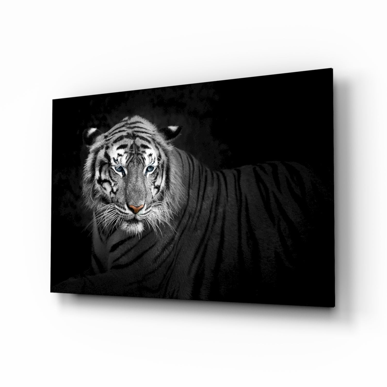 Tiger Glass Wall Art.