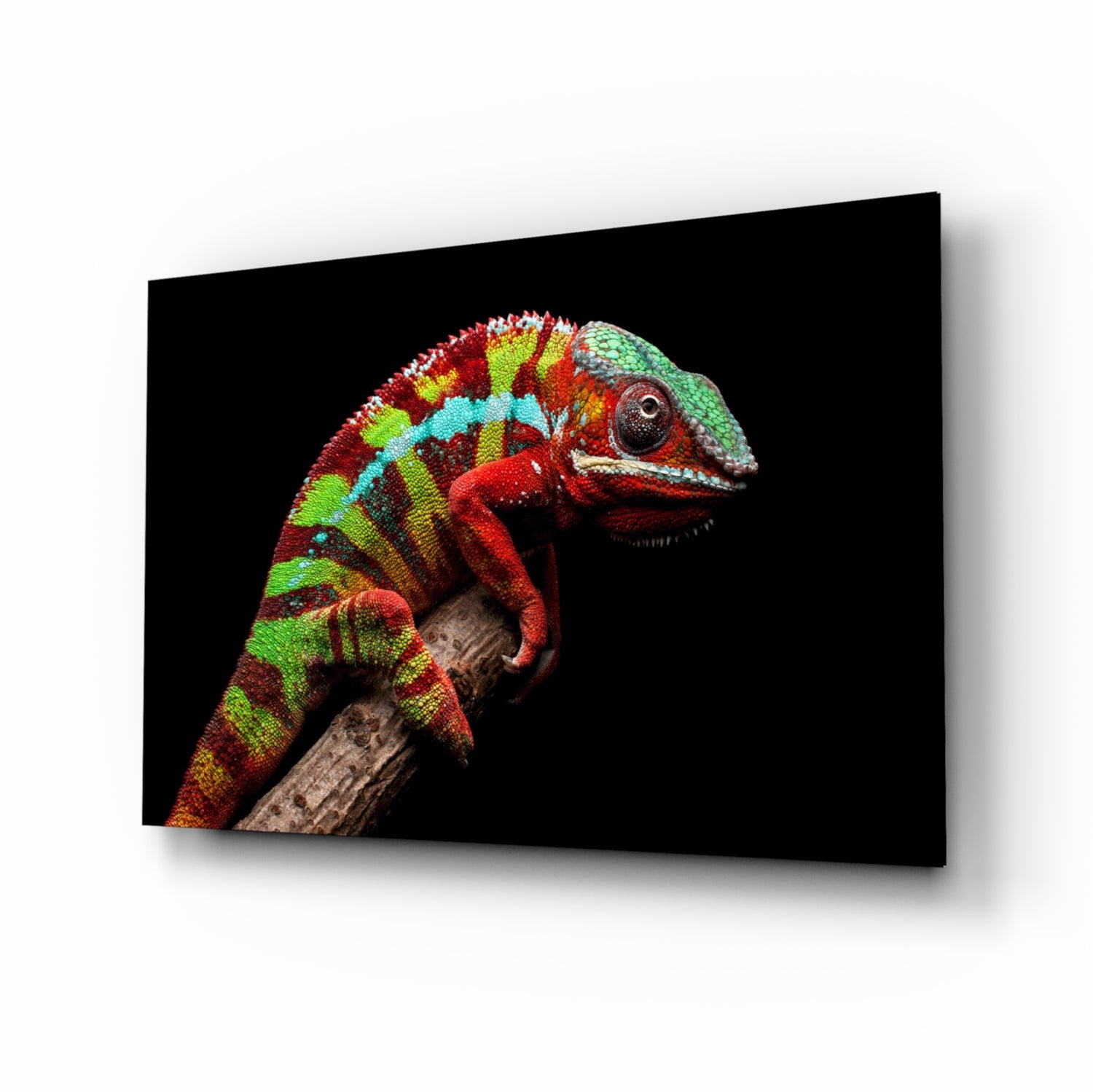 Chameleon Glass Wall Art.