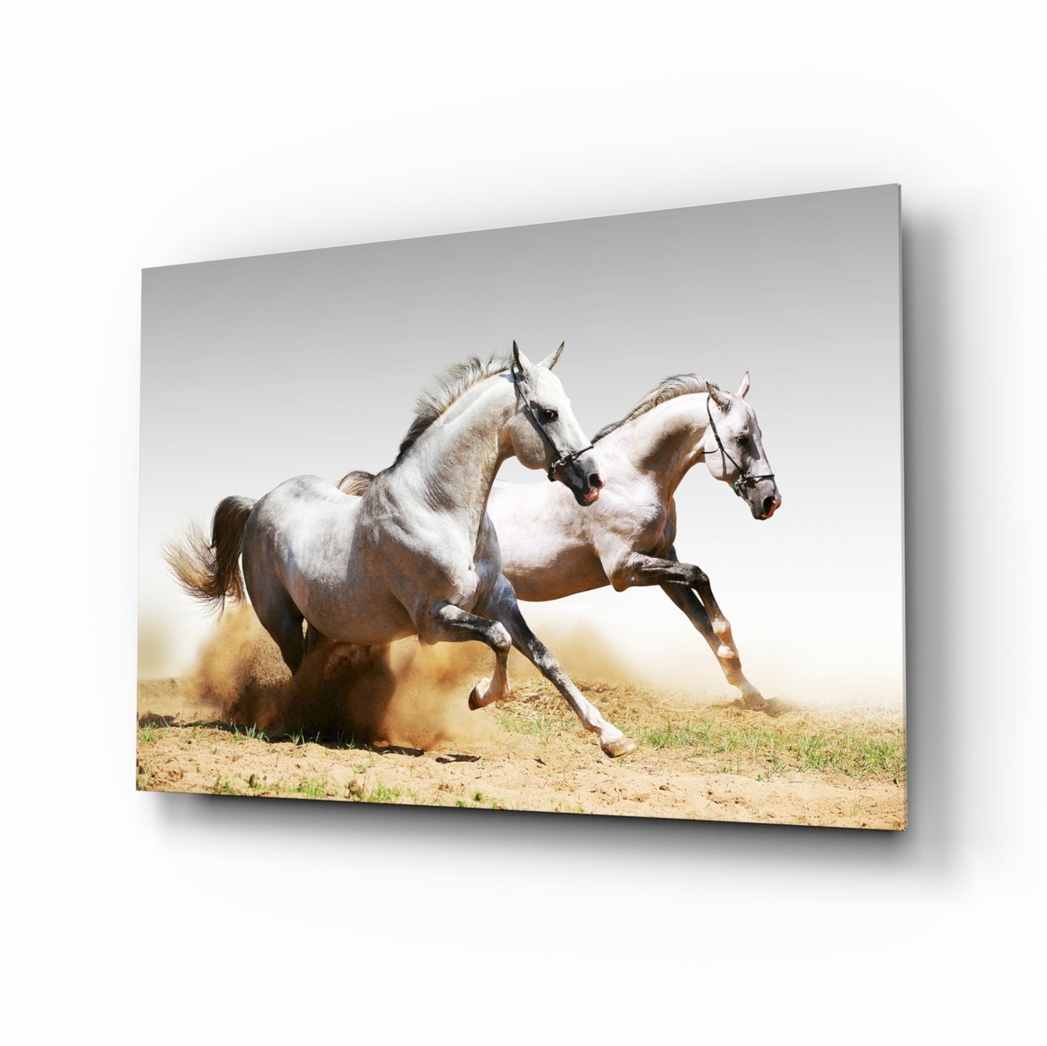 Running Horses Glass Wall Art.