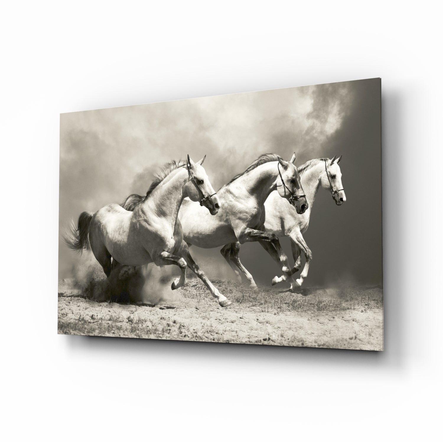 Running Horses Glass Wall Art.