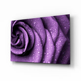 Purple Rose Glass Wall Art.