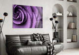 Purple Rose Glass Wall Art.