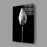 Flower Glass Wall Art.