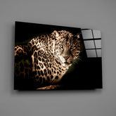 Leopard Glass Wall Art.