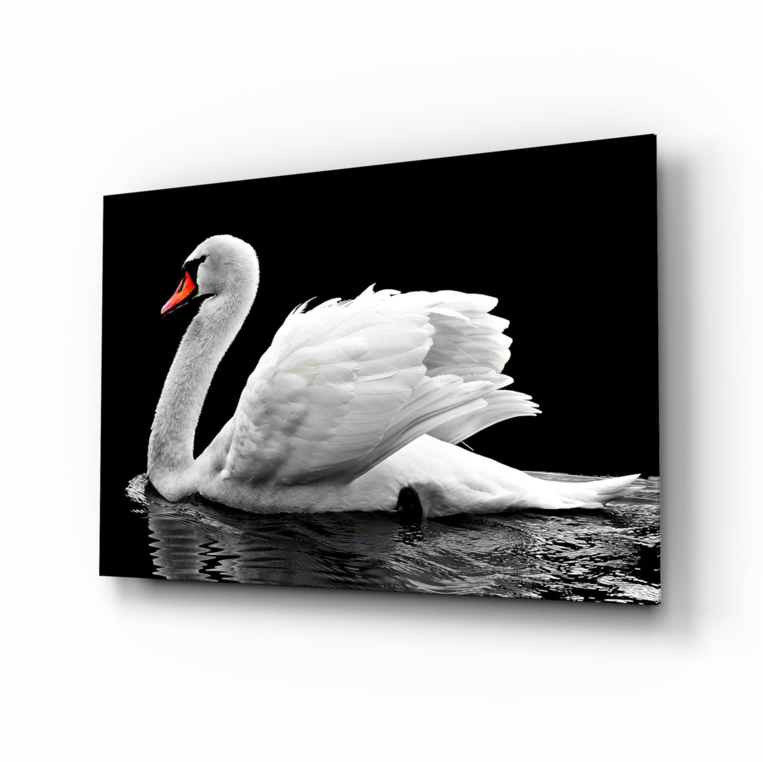 Swan Glass Wall Art.