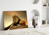 Lion Glass Wall Art.