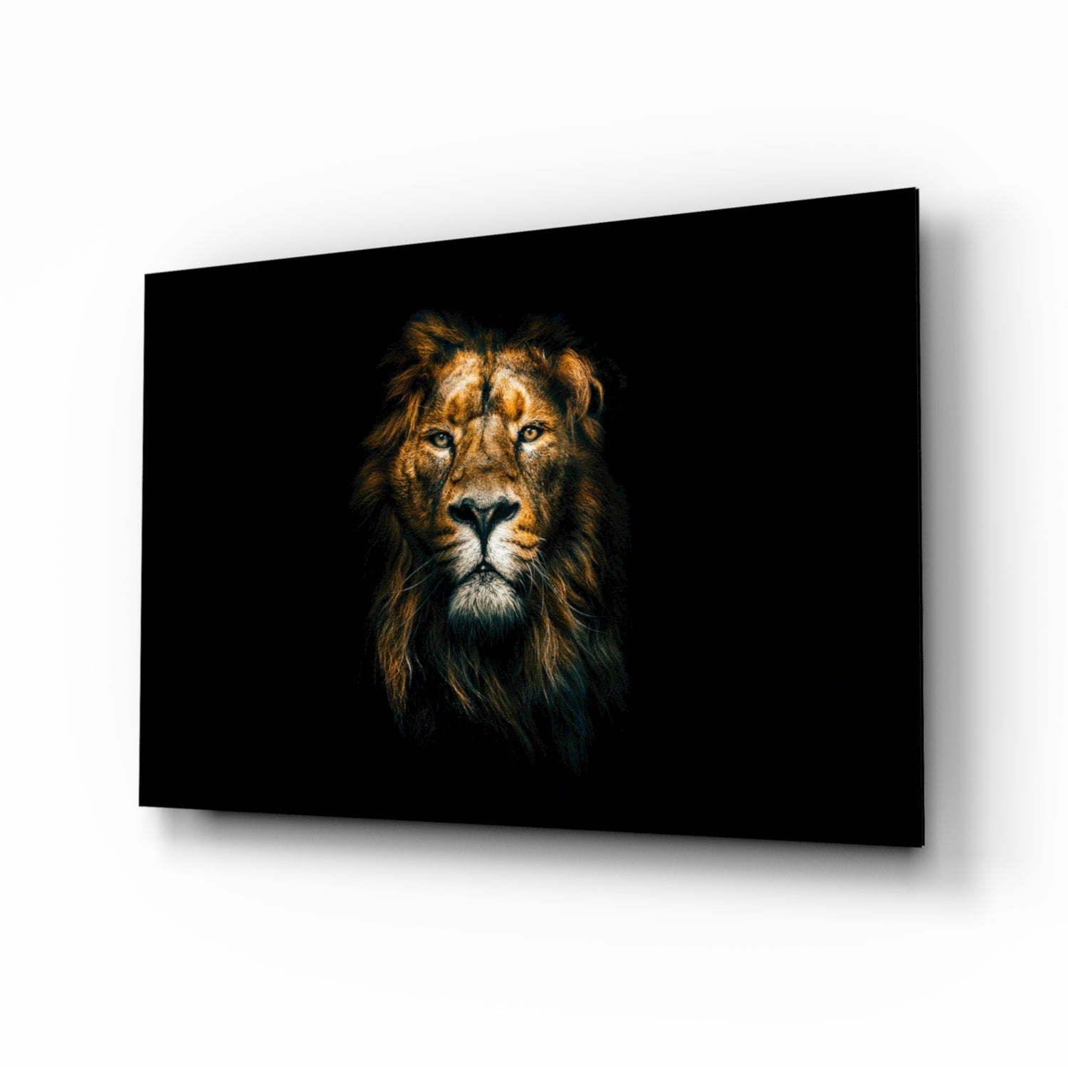 Lion Glass Wall Art.