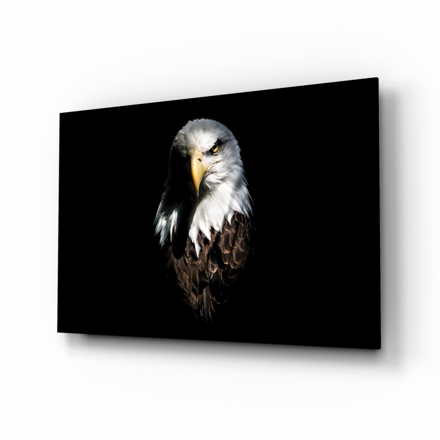 Eagle Glass Wall Art.