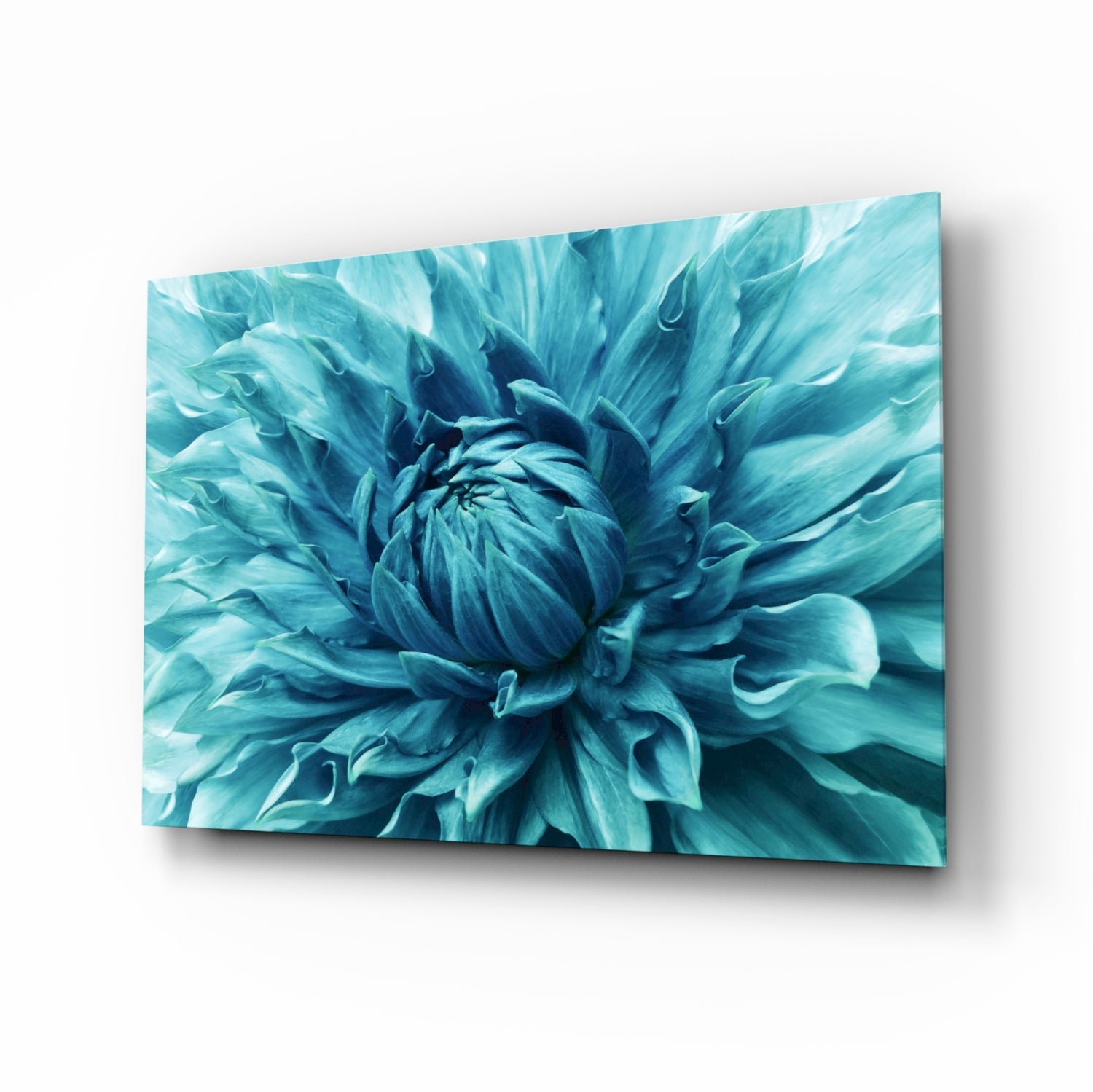 Micro Flower Glass Wall Art.