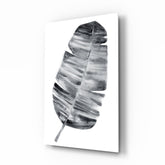 Feather Glass Wall Art.