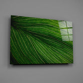 Green Leaf Glass Wall Art.