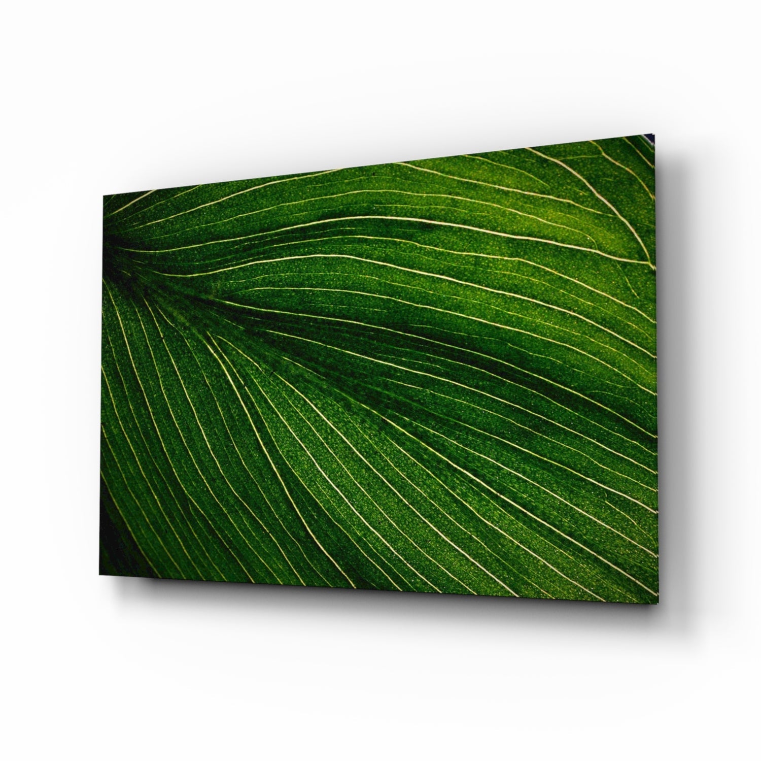 Green Leaf Glass Wall Art.