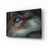 Wolf's Eye Glass Wall Art.