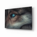 Wolf's Eye Glass Wall Art.