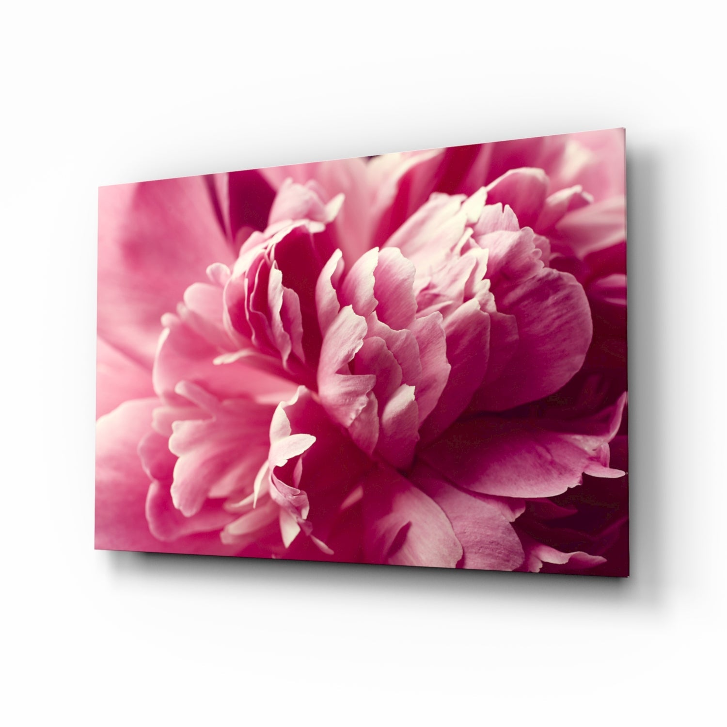 Pink Flower Glass Wall Art.