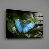 Butterfly Glass Wall Art.