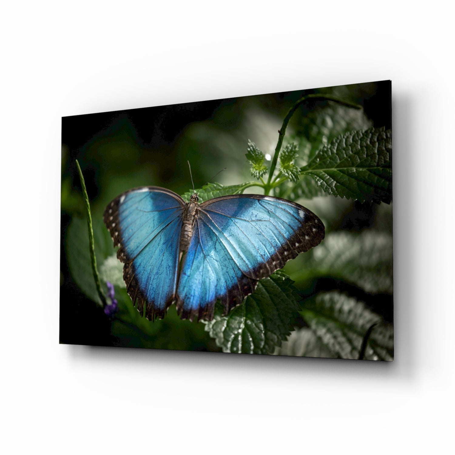 Butterfly Glass Wall Art.