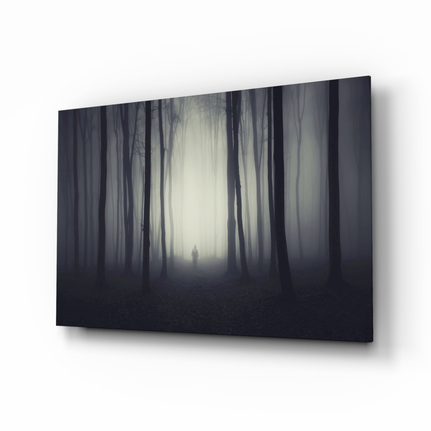 Foggy Forest Glass Wall Art.