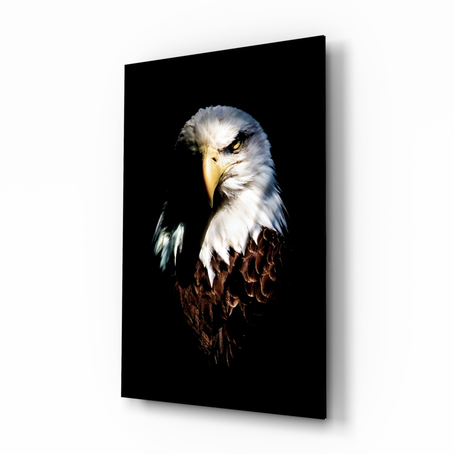 Eagle Glass Wall Art.