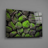 Mossy Stones Glass Wall Art.