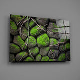 Mossy Stones Glass Wall Art.