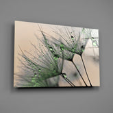 Green Dandelion Glass Wall Art.