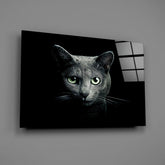 Cat Glass Wall Art.