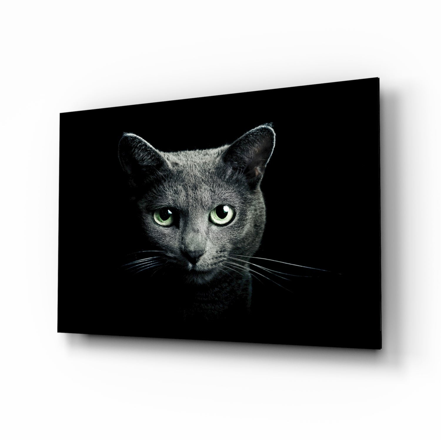 Cat Glass Wall Art.