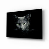 Cat Glass Wall Art.