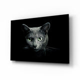 Cat Glass Wall Art.