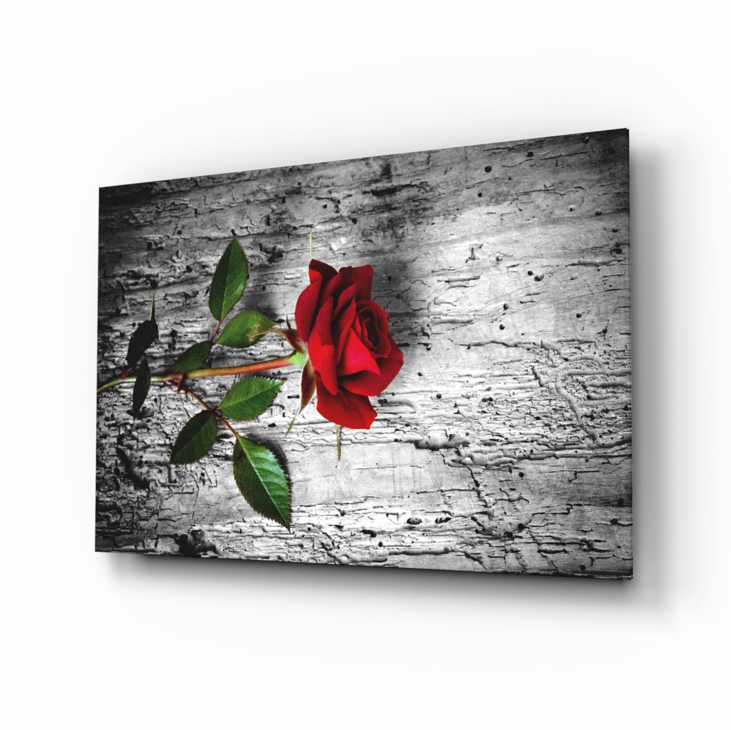 Red Rose Glass Wall Art.