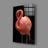 Flamingo Glass Wall Art.