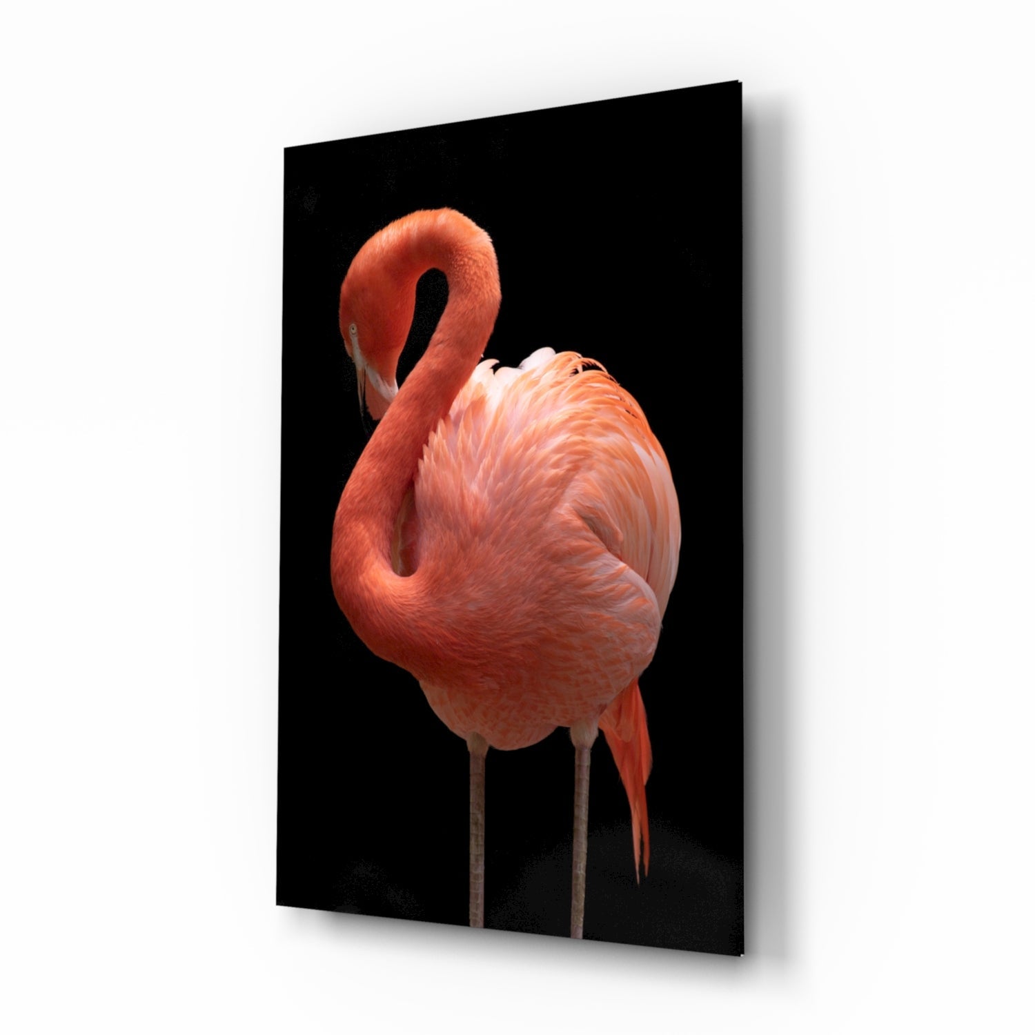 Flamingo Glass Wall Art.