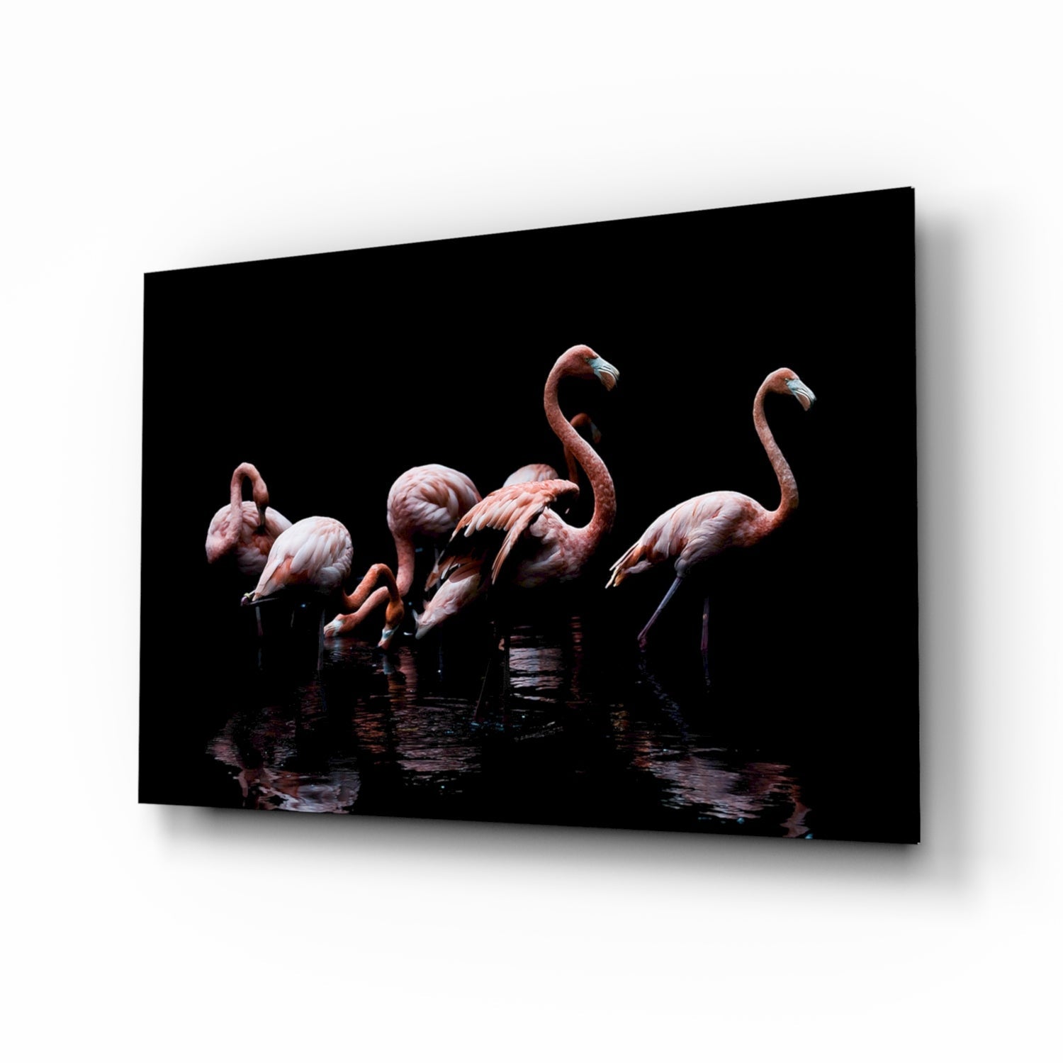 Flamingos Glass Wall Art.