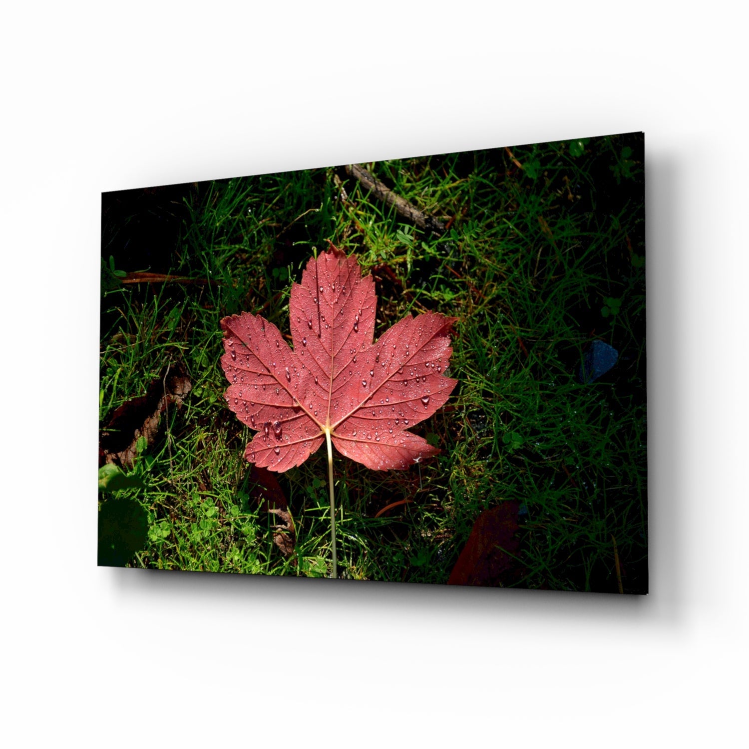 Pink Leaf Glass Wall Art.