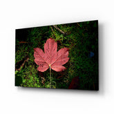 Pink Leaf Glass Wall Art.