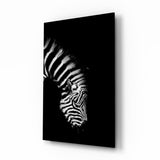 Zebra Glass Wall Art.