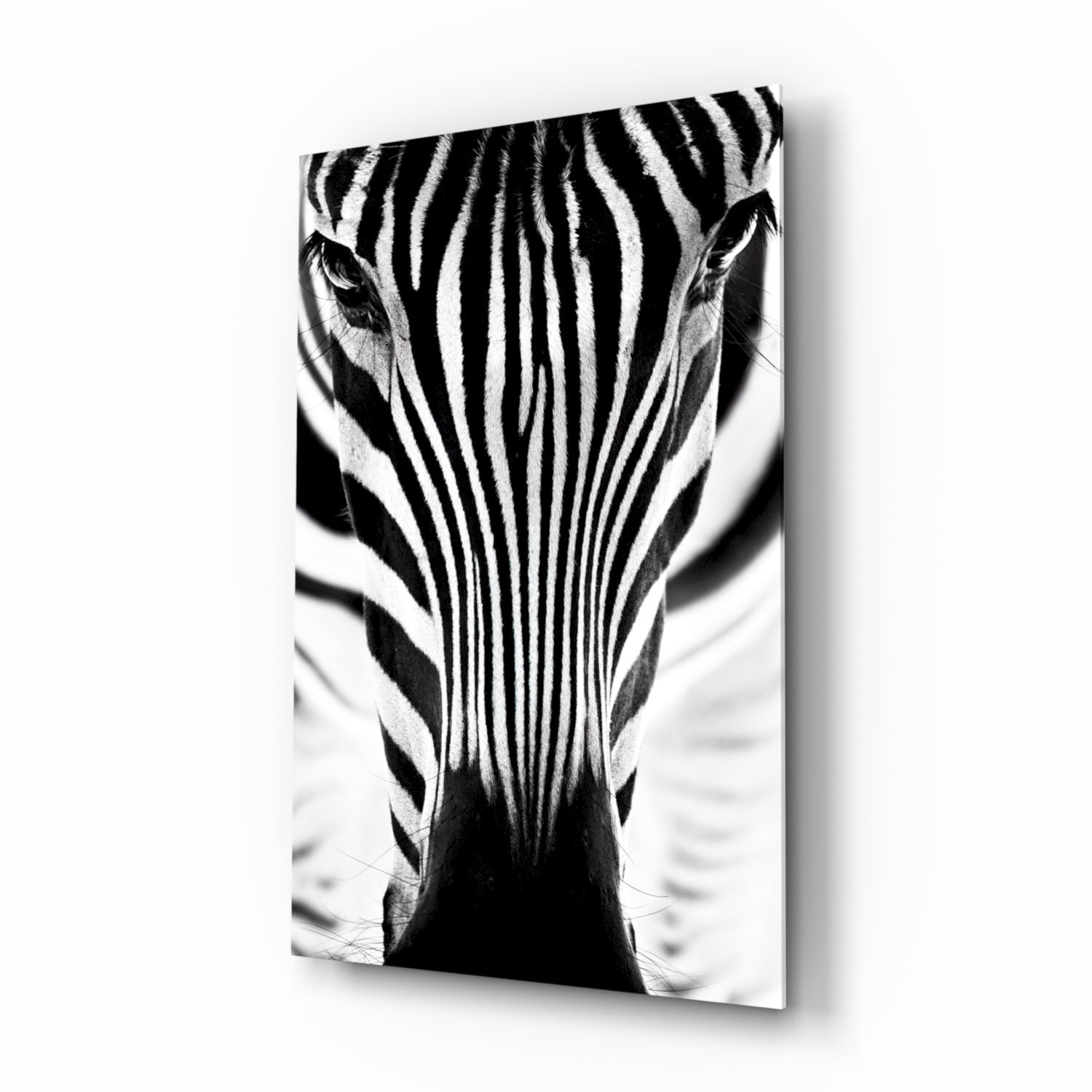 Zebra Glass Wall Art.